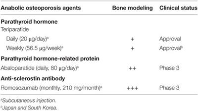 Osteoporosis Therapy: Bone Modeling during Growth and Aging